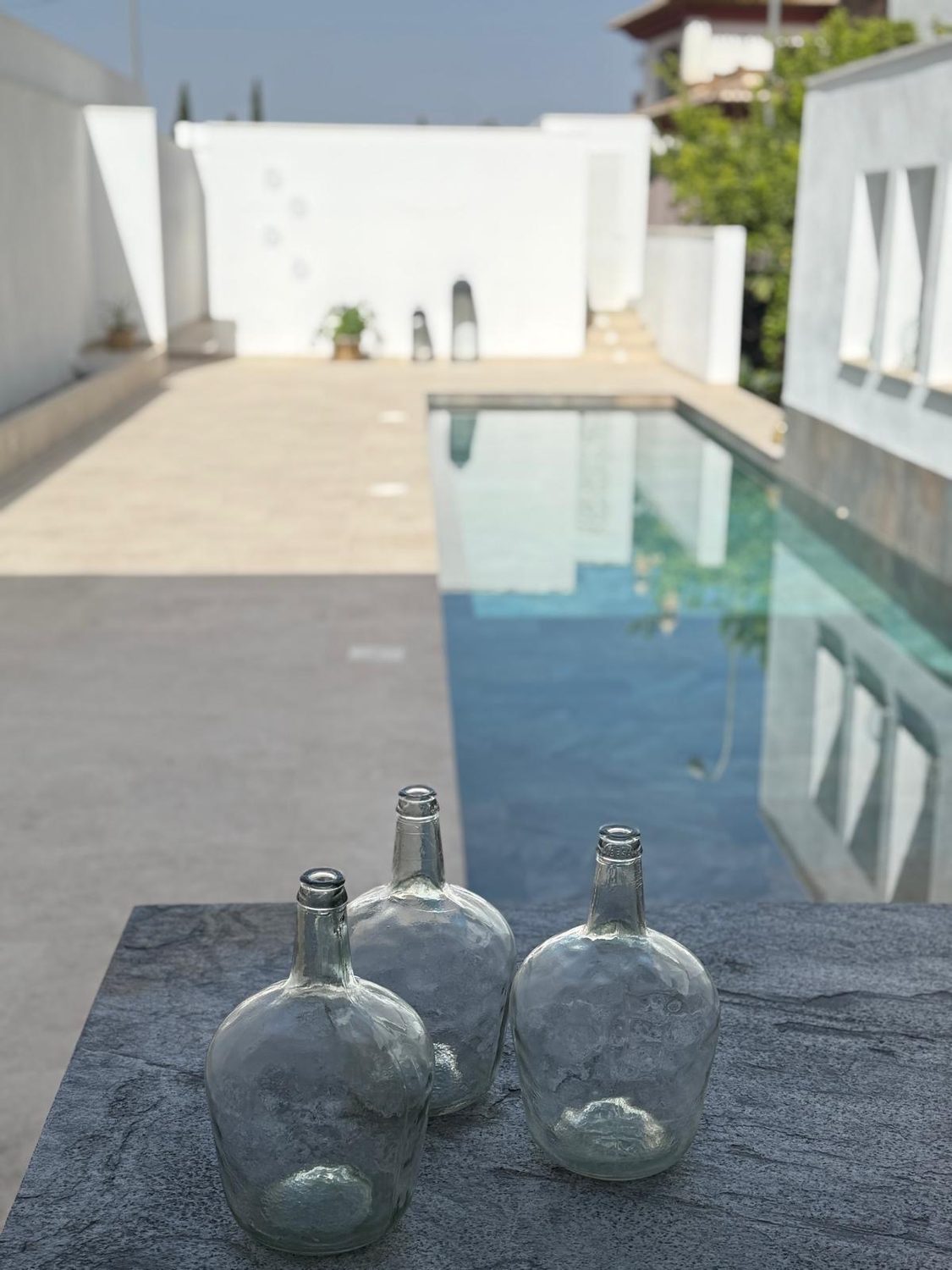 Piscina y entorno
