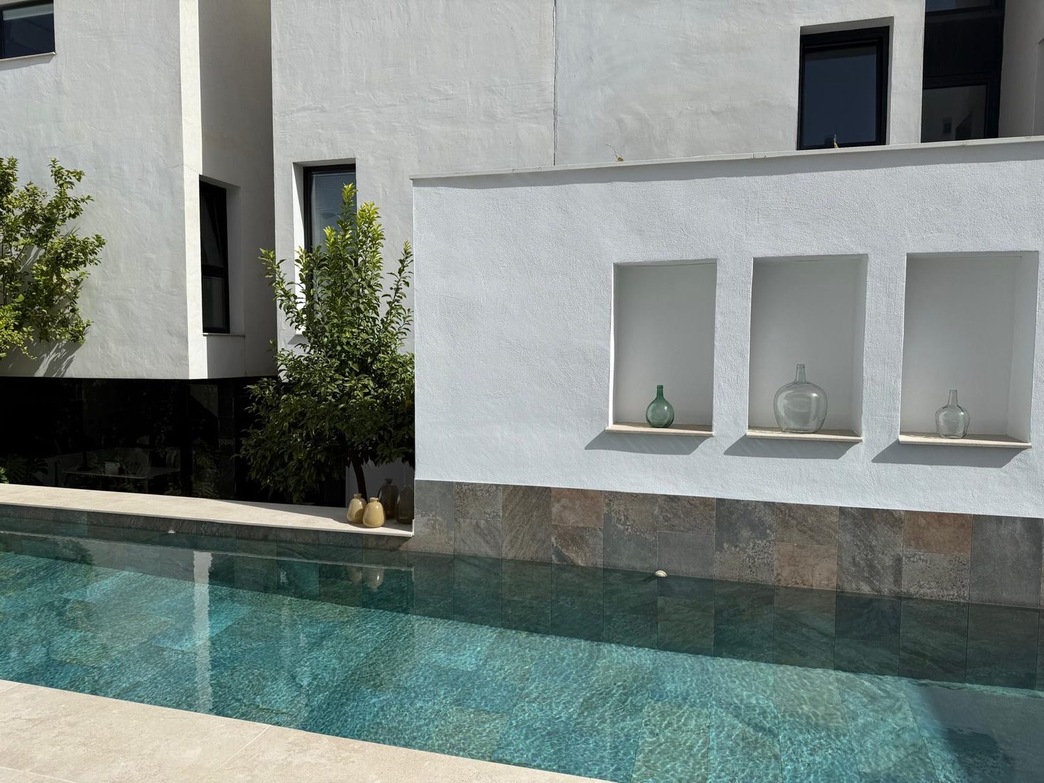 Piscina y entorno